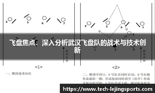 飞盘焦点：深入分析武汉飞盘队的战术与技术创新